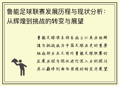 鲁能足球联赛发展历程与现状分析：从辉煌到挑战的转变与展望