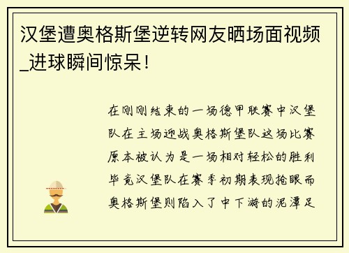 汉堡遭奥格斯堡逆转网友晒场面视频_进球瞬间惊呆！